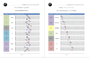 Manuale di Teoria per Chitarra