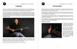 TGA053_7String_02
